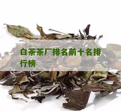 白茶茶厂排名前十名排行榜