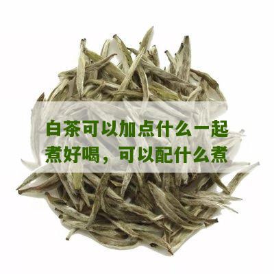 白茶可以加点什么一起煮好喝，可以配什么煮