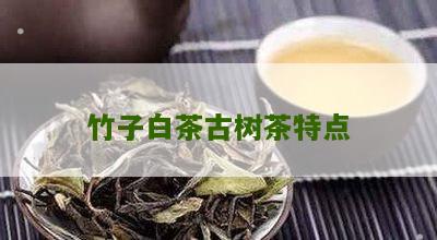 竹子白茶古树茶特点