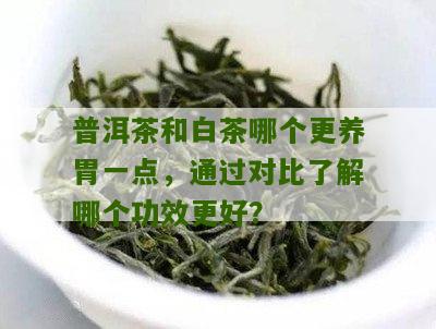 普洱茶和白茶哪个更养胃一点，通过对比了解哪个功效更好？