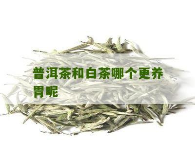 普洱茶和白茶哪个更养胃呢