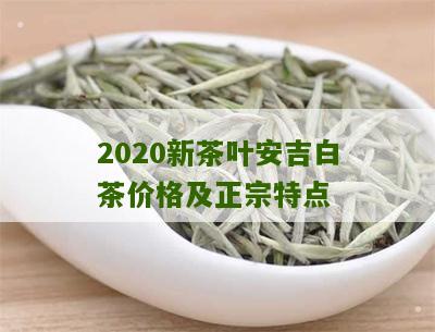 2020新茶叶安吉白茶价格及正宗特点