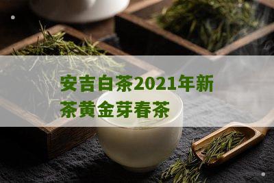 安吉白茶2021年新茶黄金芽春茶