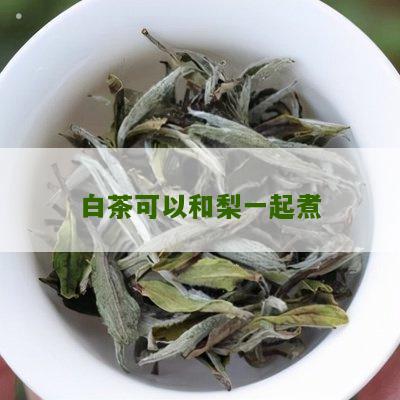 白茶可以和梨一起煮