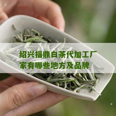 绍兴福鼎白茶代加工厂家有哪些地方及品牌