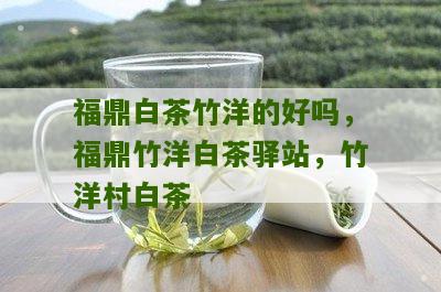 福鼎白茶竹洋的好吗，福鼎竹洋白茶驿站，竹洋村白茶