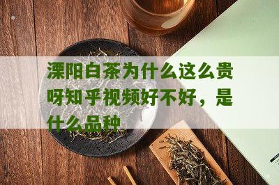 溧阳白茶为什么这么贵呀知乎视频好不好，是什么品种