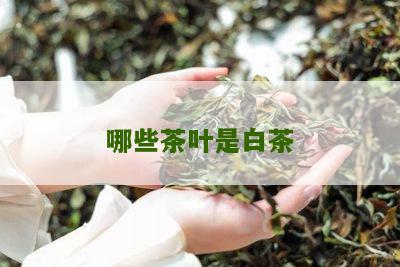 哪些茶叶是白茶