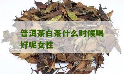 普洱茶白茶什么时候喝好呢女性