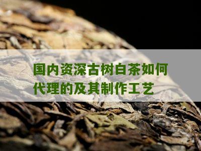 国内资深古树白茶如何代理的及其制作工艺