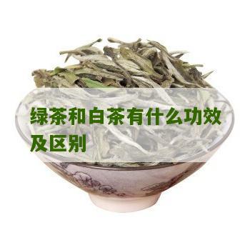 绿茶和白茶有什么功效及区别