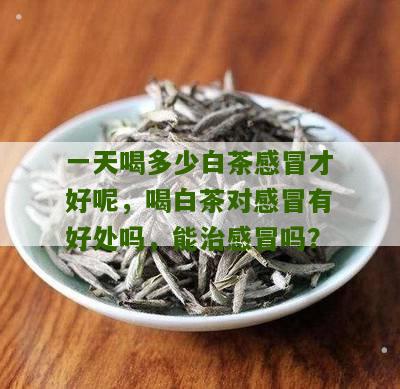 一天喝多少白茶感冒才好呢，喝白茶对感冒有好处吗，能治感冒吗？