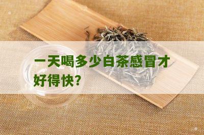 一天喝多少白茶感冒才好得快？