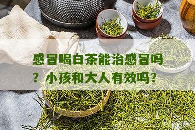 感冒喝白茶能治感冒吗？小孩和大人有效吗？