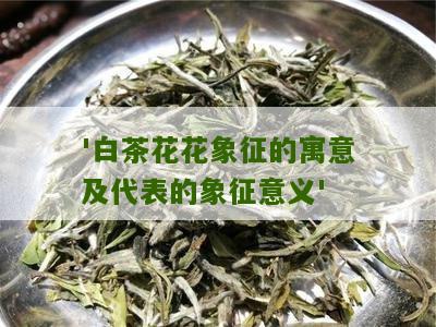 '白茶花花象征的寓意及代表的象征意义'