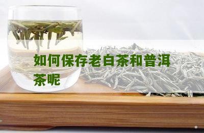 如何保存老白茶和普洱茶呢