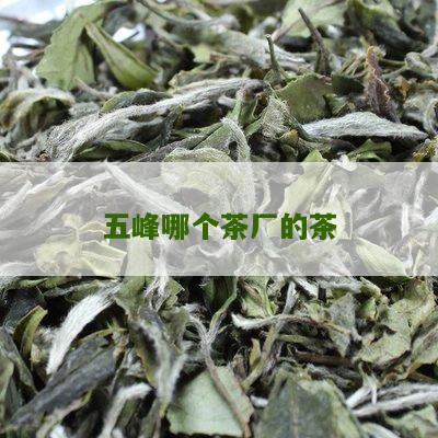 五峰哪个茶厂的茶