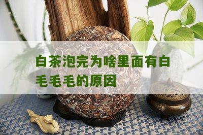 白茶泡完为啥里面有白毛毛毛的原因