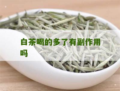 白茶喝的多了有副作用吗