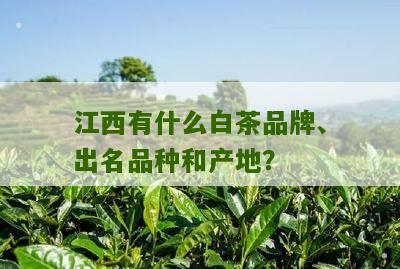 江西有什么白茶品牌、出名品种和产地？