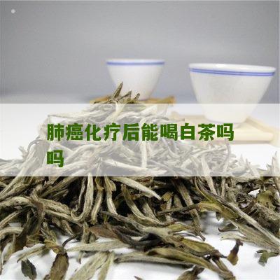 肺癌化疗后能喝白茶吗吗