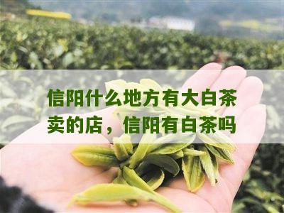 信阳什么地方有大白茶卖的店，信阳有白茶吗