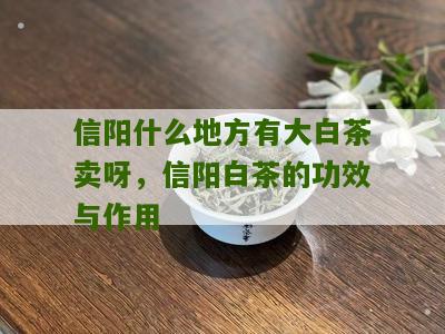 信阳什么地方有大白茶卖呀，信阳白茶的功效与作用