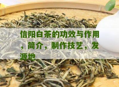 信阳白茶的功效与作用，简介，制作技艺，发源地