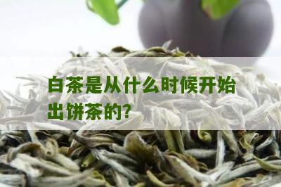 白茶是从什么时候开始出饼茶的？