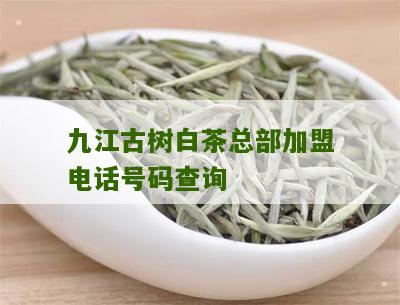 九江古树白茶总部加盟电话号码查询