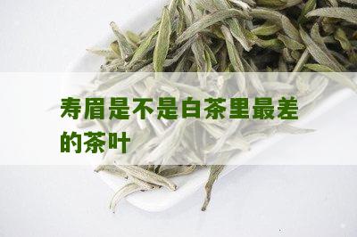 寿眉是不是白茶里最差的茶叶