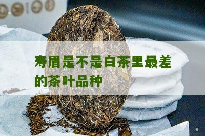 寿眉是不是白茶里最差的茶叶品种