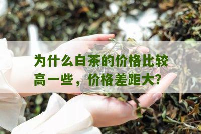 为什么白茶的价格比较高一些，价格差距大？