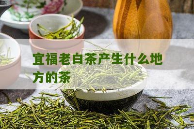 宜福老白茶产生什么地方的茶