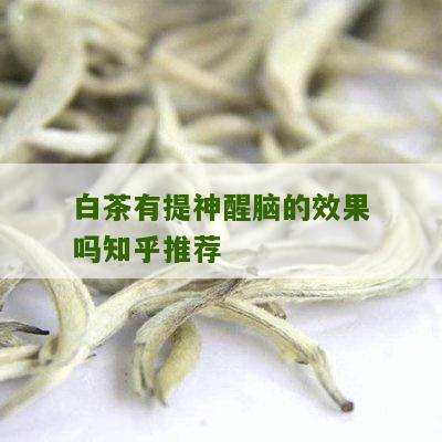 白茶有提神醒脑的效果吗知乎推荐