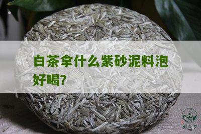 白茶拿什么紫砂泥料泡好喝？