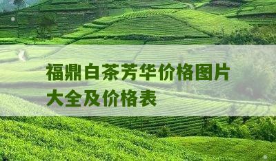 福鼎白茶芳华价格图片大全及价格表