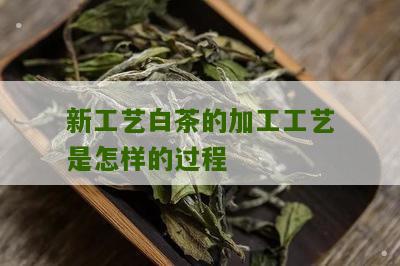 新工艺白茶的加工工艺是怎样的过程