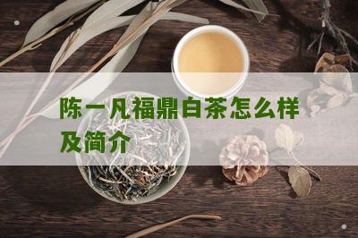 陈一凡福鼎白茶怎么样及简介