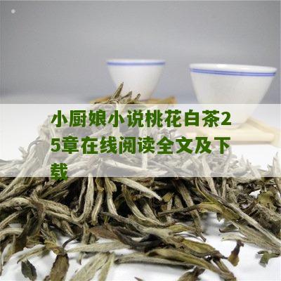 小厨娘小说桃花白茶25章在线阅读全文及下载