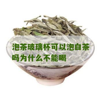 泡茶玻璃杯可以泡白茶吗为什么不能喝