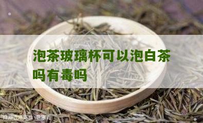 泡茶玻璃杯可以泡白茶吗有毒吗