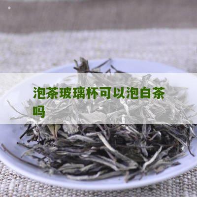 泡茶玻璃杯可以泡白茶吗