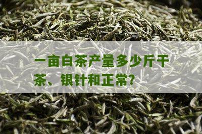 一亩白茶产量多少斤干茶、银针和正常？