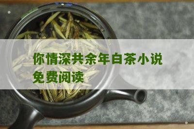 你情深共余年白茶小说免费阅读