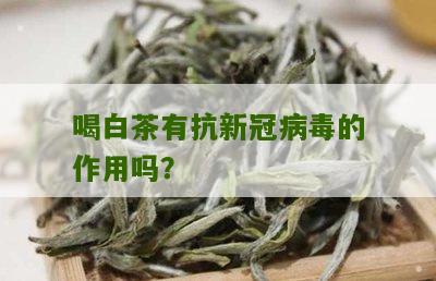 喝白茶有抗新冠病毒的作用吗？