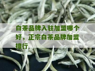 白茶品牌入驻加盟哪个好，正宗白茶品牌加盟排行