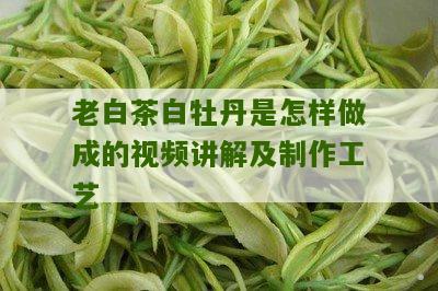 老白茶白牡丹是怎样做成的视频讲解及制作工艺