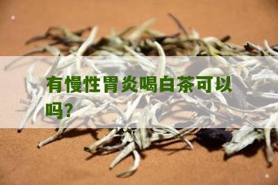 有慢性胃炎喝白茶可以吗？