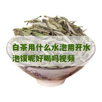 白茶用什么水泡用开水泡馍呢好喝吗视频